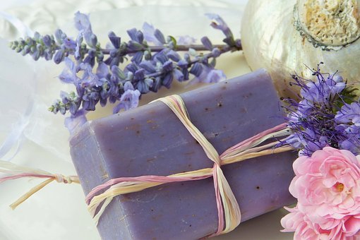 Soap, Purple, Lavender, Rose, Shell