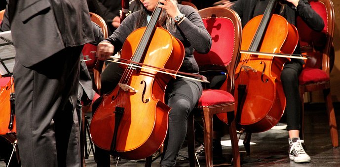 Violin, Cello, Performance, Musician
