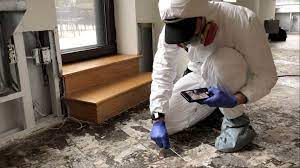 A Candid Chat With a Professional Mold Inspector | Mold Free Living