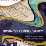 What is the Meaning of IT Consulting?